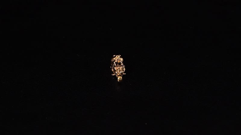 Luxoro 10K Yellow Gold Electroform Pixiu Pendant without Chain