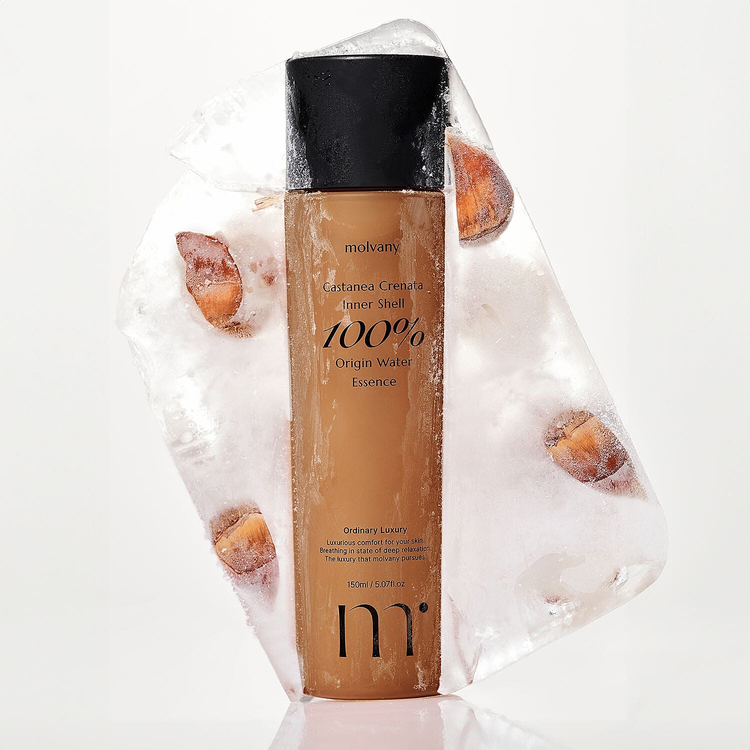 molvany Castanea Crenata Inner Shell Origin Water Essence