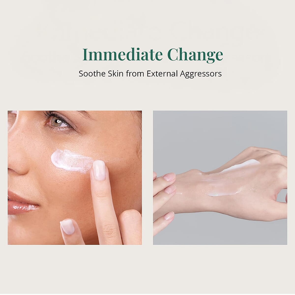 Molvany Artichoke Calming Care Soothing Cream image number 5