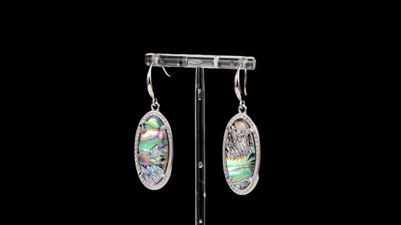 Abalone Shell Earrings in Stainless Steel