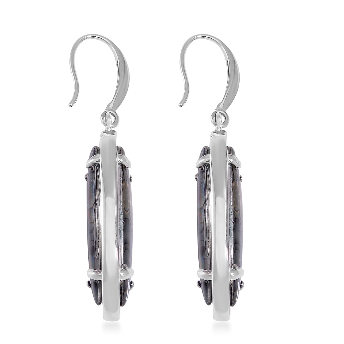 Abalone Shell Earrings in Stainless Steel