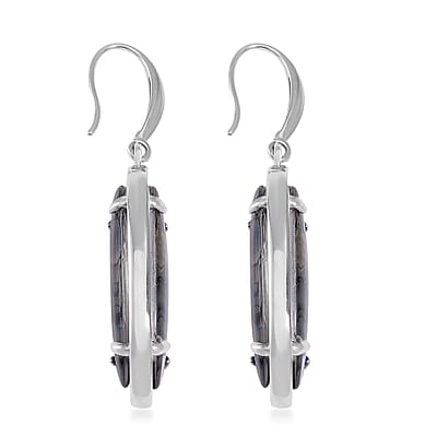 Abalone Shell Earrings in Stainless Steel