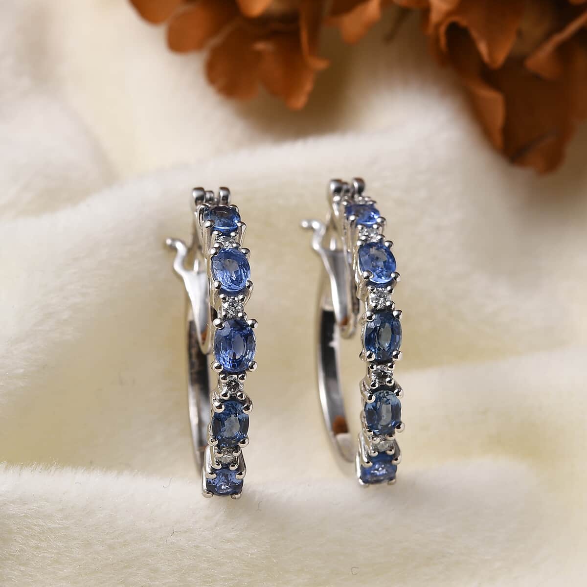 Premium Ceylon Blue Sapphire and Moissanite Hoop Earrings in Platinum Over Sterling Silver 2.10 ctw image number 1