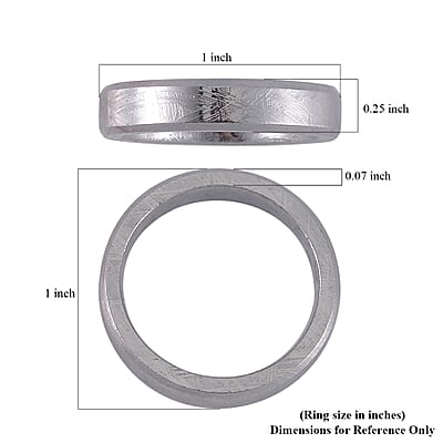 Marvelous Meteorite Men's Band Ring (Size 10.00)