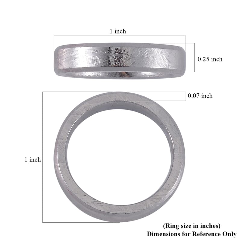Marvelous Meteorite Men's Band Ring (Size 10.00)