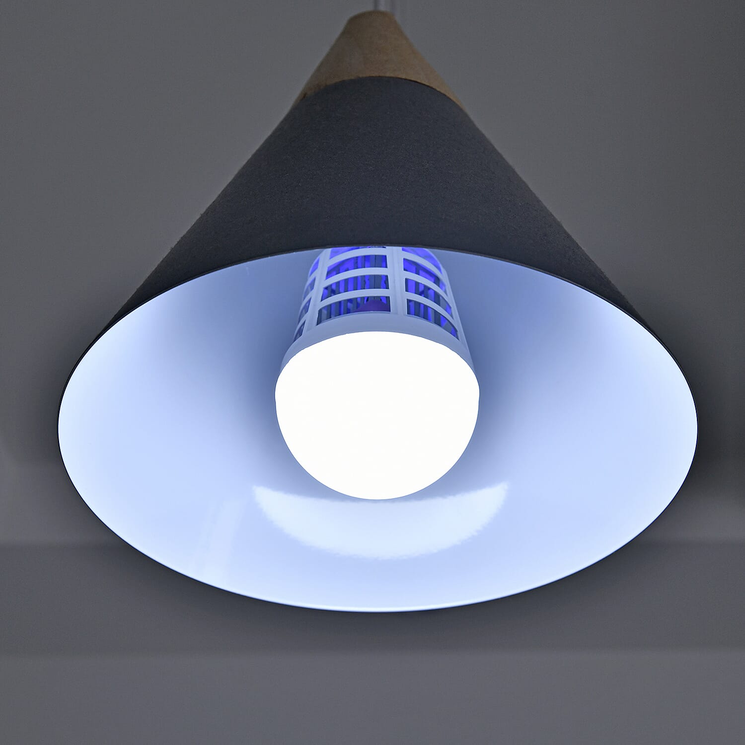 Homesmart Set of Two 2-in-1 LED and Mosquito Killing Bulb (15W, Lumen - 1200, Base -E27)