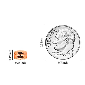 Default Title - Product card gallery slide 4 (10177451688249)