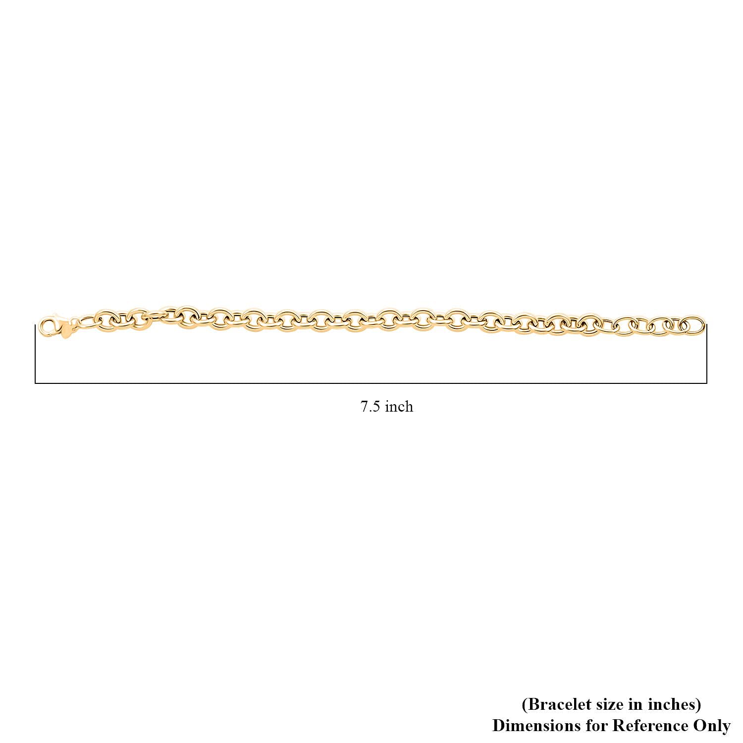 Italian Oval Rolo Bracelet in 10K Yellow Gold (7-8In) 4.20 Grams