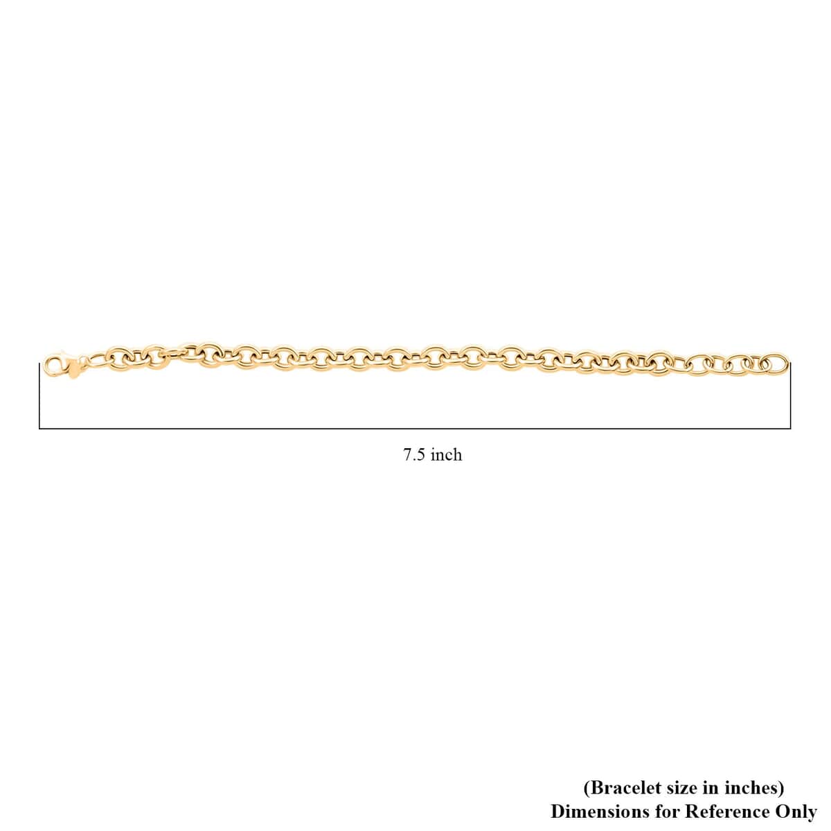 Italian Oval Rolo Bracelet in 10K Yellow Gold (7-8In) 4.20 Grams image number 4