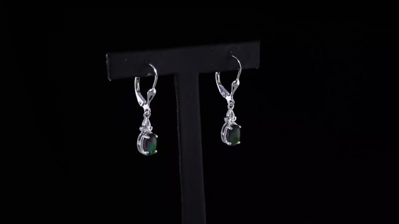 Canadian Ammolite Lever Back Earrings in Platinum Over Sterling Silver