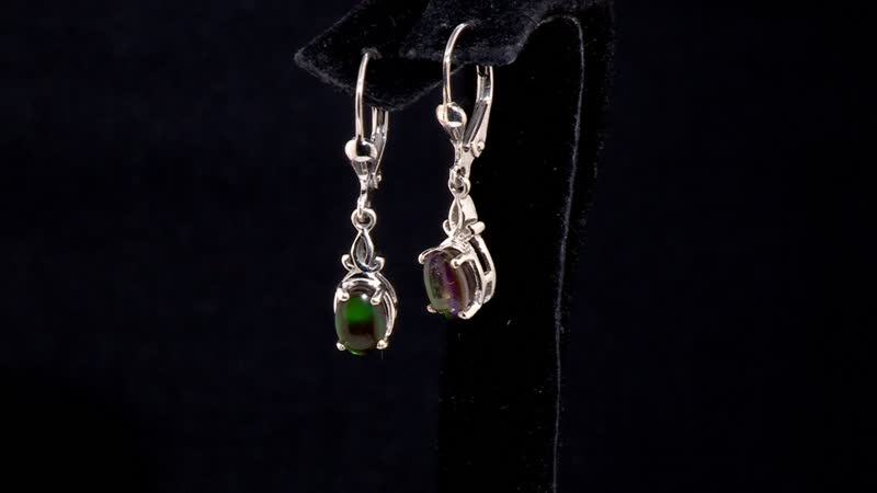 Canadian Ammolite Lever Back Earrings in Platinum Over Sterling Silver