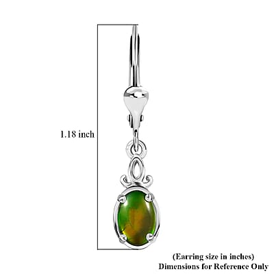 Canadian Ammolite Lever Back Earrings in Platinum Over Sterling Silver