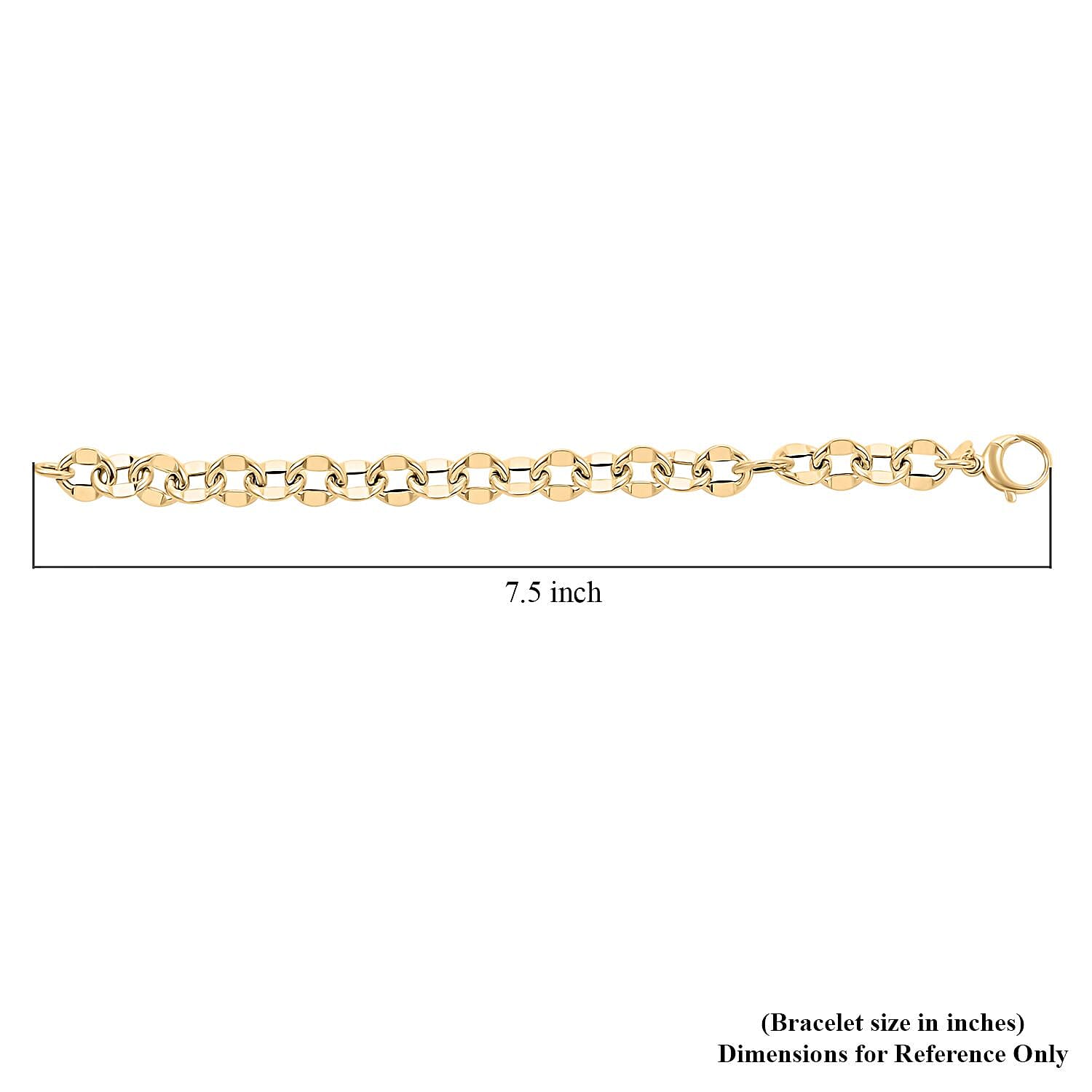 Specchio Rolo Italian 10K Yellow Gold Bracelet (7.50 In) 6.20 Grams