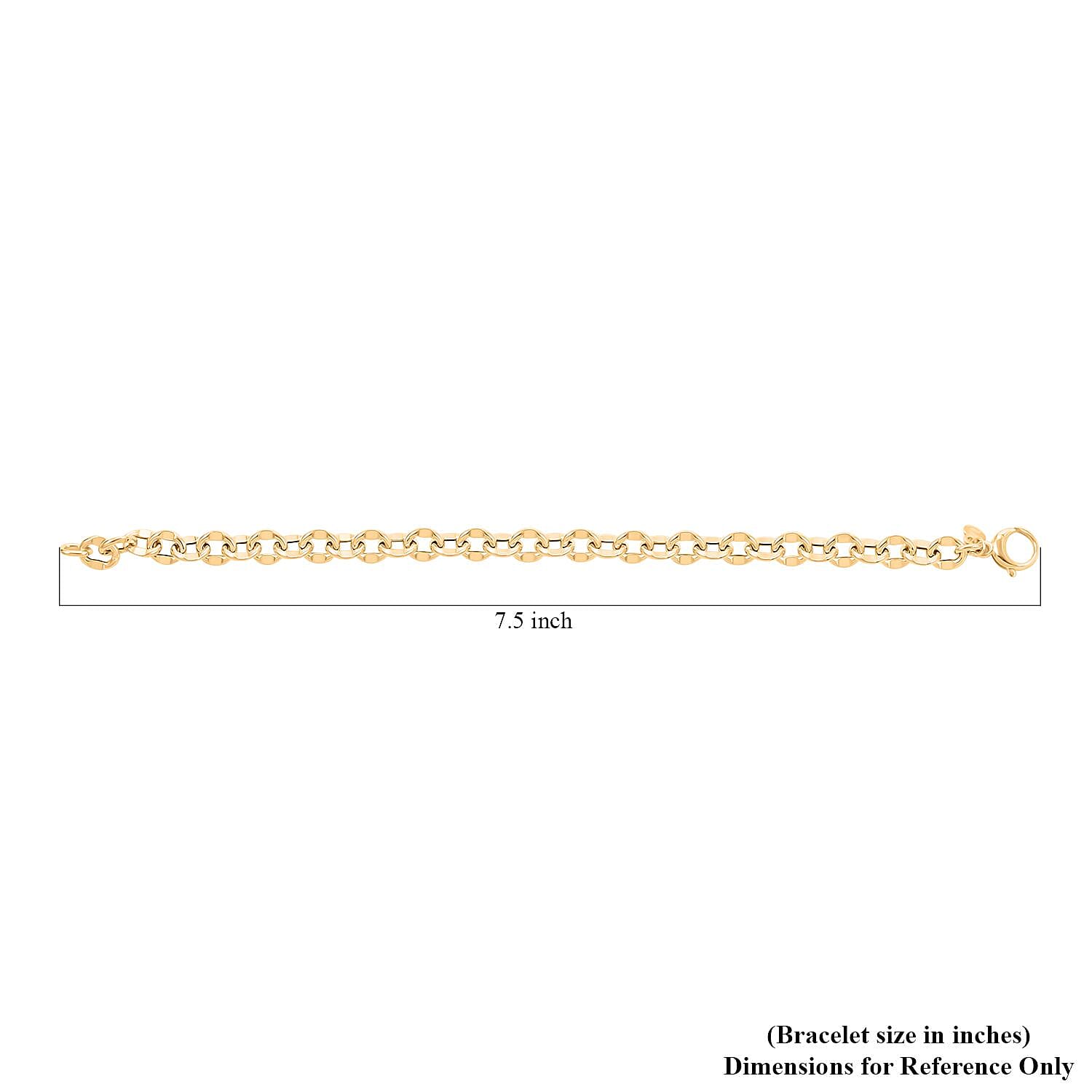 Piccolo Specchio Rolo Italian 10K Yellow Gold Bracelet (7.50 In) 3.60 Grams