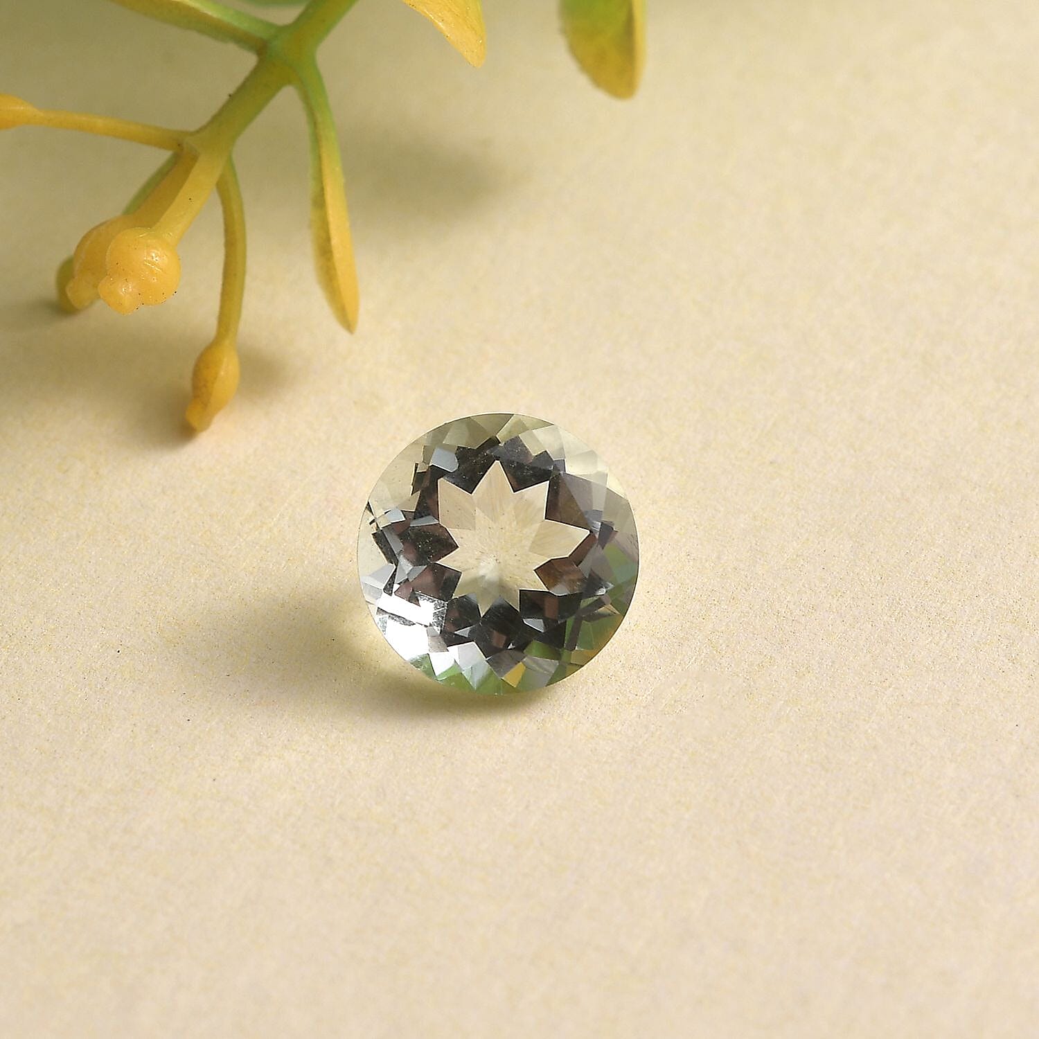 Montezuma Prasiolite (Rnd 9 mm) 2.49 ctw Loose Gemstone