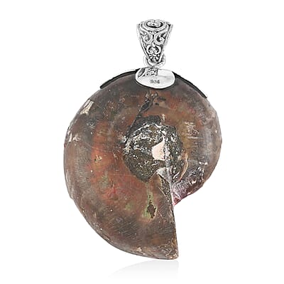 Ammonite and Sponge Coral Pendant in Sterling Silver 30 Grams