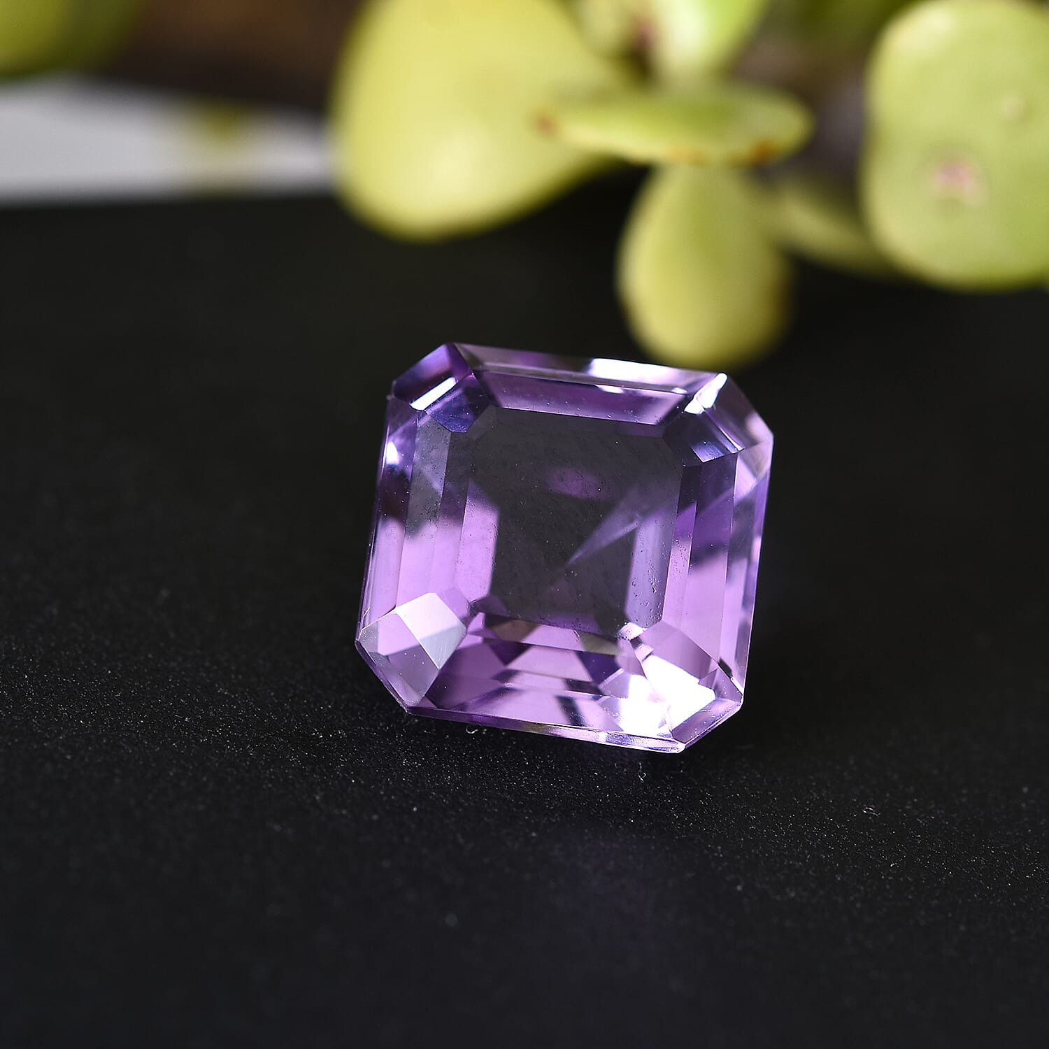 Default Title - Product card gallery slide 2 (10145470578971)