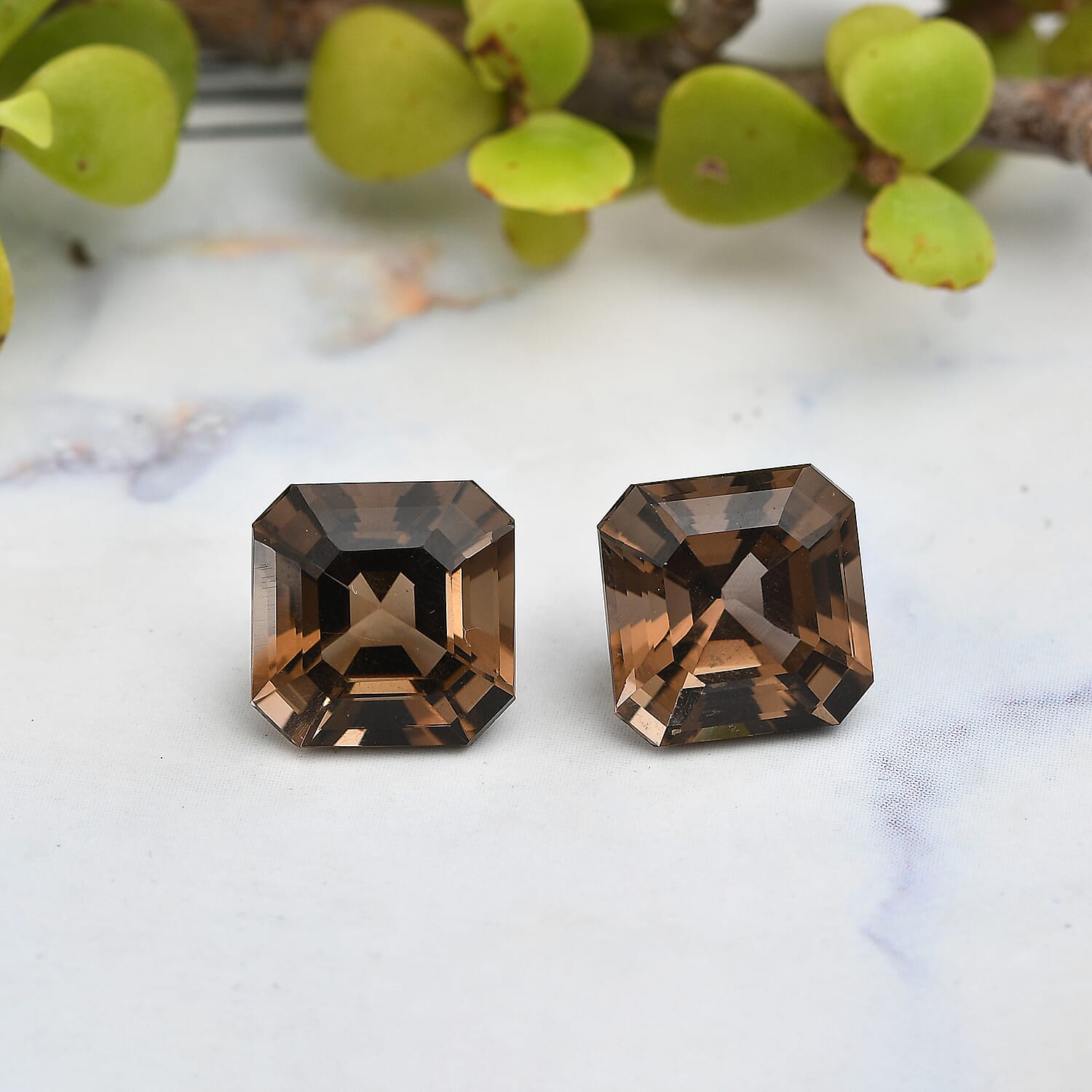Set of 2 Asscher Cut AA Brazilian Smoky Quartz (Oct 12x12 mm) 14.48 ctw