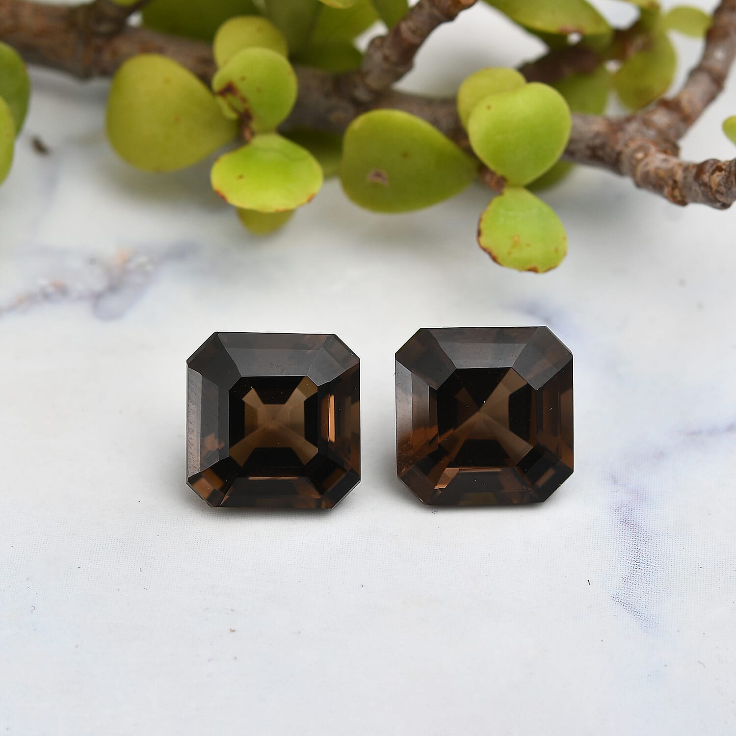 Set of 2 Asscher Cut AAA Brazilian Smoky Quartz (Oct 12x12 mm) 13.60 ctw