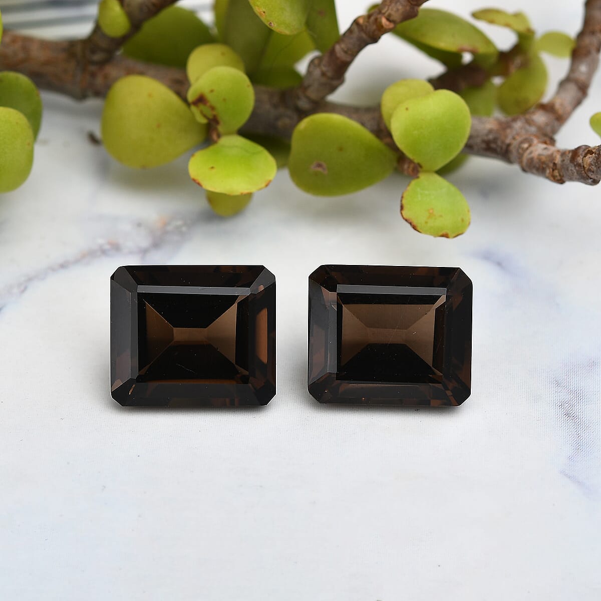 Set of 2 AA Brazilian Smoky Quartz (Oct 14x12 mm) 15.95 ctw image number 1