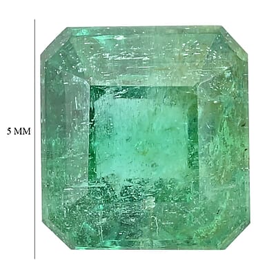 Collectors Choice AAA Kagem Zambian Emerald (Oct 5 mm) 0.60 ctw