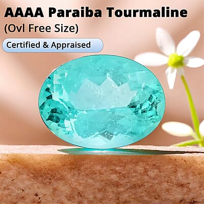 Certified & Appraised AAAA Paraiba Tourmaline (Ovl Free Size) 1.40 ctw