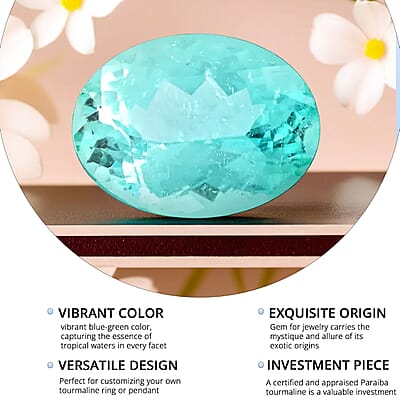 Certified & Appraised AAAA Paraiba Tourmaline (Ovl Free Size) 1.40 ctw