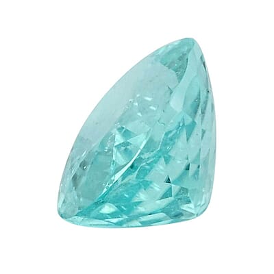 Certified & Appraised AAAA Paraiba Tourmaline (Ovl Free Size) 1.40 ctw