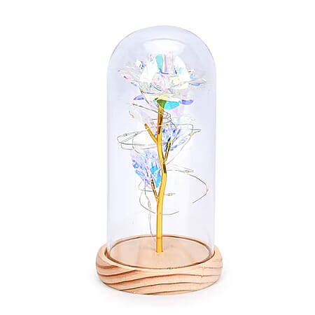 Clear - Product card gallery slide 1 (10177524531513)