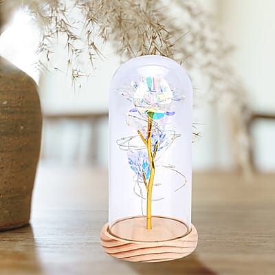 Clear Rose Decoration with Light in Transparent