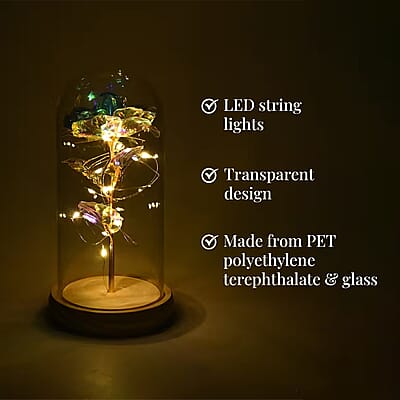 Clear Rose Decoration with Light in Transparent