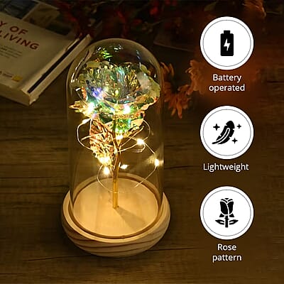 Clear Rose Decoration with Light in Transparent
