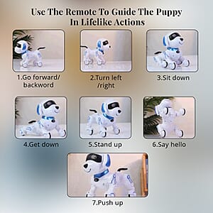 Orange Remote Control Robotic Toy Dog Touchable Interaction in 3 Modes, Programmable with 50 Actions, Adjustable Volume, 6 Early Education Stories, 26 ABC English Words