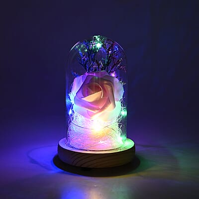 Pink Rose Glass Dome Decoration LED Lights