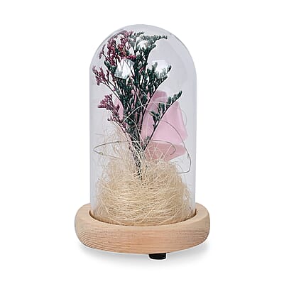 Pink Rose Glass Dome Decoration LED Lights
