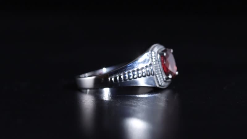 Mozambique Garnet 1.50 ctw Men's Ring in Stainless Steel