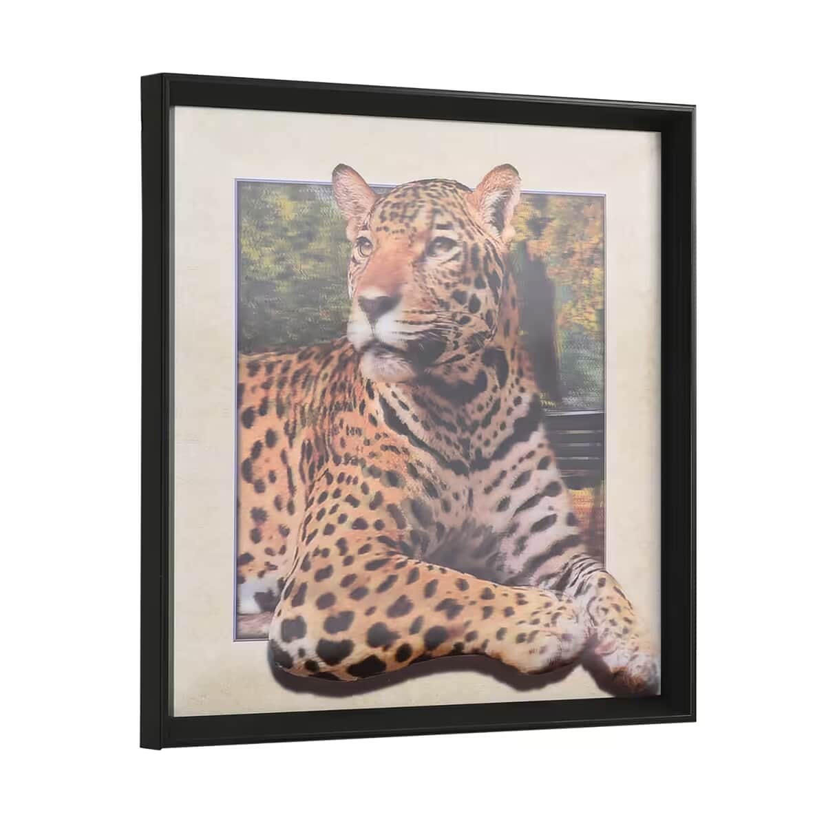 Decorative Leopard Photo Frame image number 7