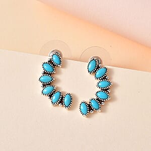 Artisan Crafted Sleeping Beauty Turquoise Earrings in Sterling Silver 2.00 ctw