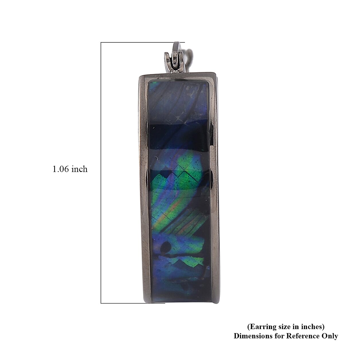 Abalone Shell J-Hook Earrings in ION Plated Black Stainless Steel