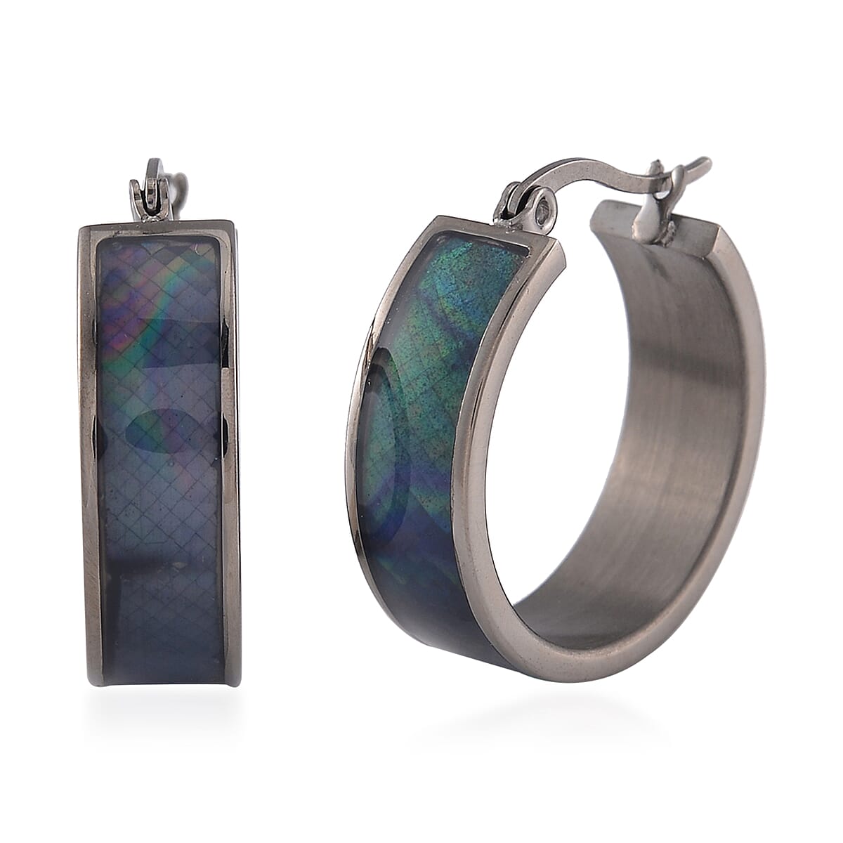 Black Mother of Pearl J-Hook Earrings in Stainless Steel