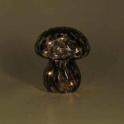 LED Light Beads Cute Brown Glass Mushroom Shape Table Lamp (2xAA Battery Not Included)