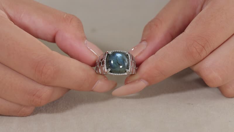 Malagasy Labradorite Men's Ring in Stainless Steel (Size 10.0) 6.85 ctw