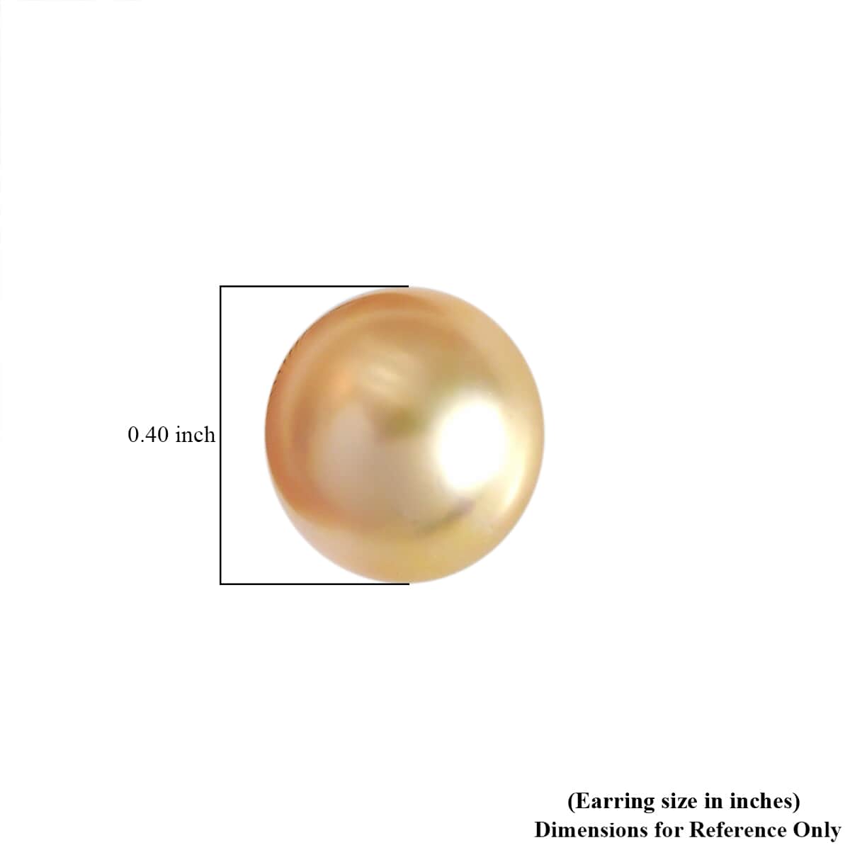 Luxoro 14K Yellow Gold Premium Golden South Sea Pearl Stud Earrings image number 4