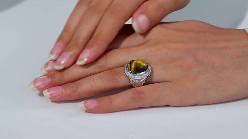 Karis Tiger's Eye 5.85 ctw Men's Ring in Platinum Bond