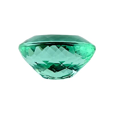 AAAA Paraiba Tourmaline (Oval Free Size) 1.00 ctw