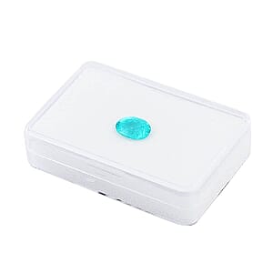Chairman Vault Collection Certified & Appraised AAAA Paraiba Tourmaline (Ovl Free Size) 3.07 ctw