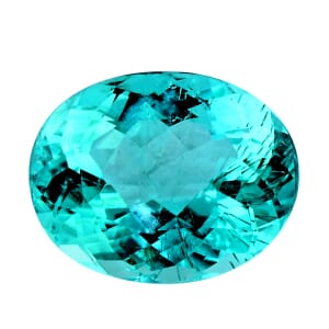 Chairman Vault Collection GIA Certified AAAA Paraiba Tourmaline (Ovl Free Size) 3.21 ctw