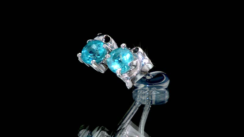 D'Joy Premium Betroka Blue Apatite and Thai Black Spinel 0.60 ctw Dolphin Stud Earrings in Rhodium Over Sterling Silver