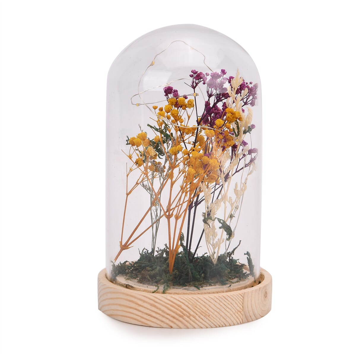 Floral LED Glass Dome (2xAAA Batteries Not Included) image number 0