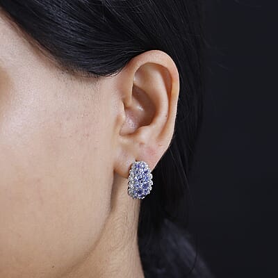 D'Joy Tanzanite and White Zircon 4.15 ctw Serenity Nature Earrings in Platinum Over Sterling Silver
